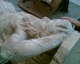 070727.Touch_the_head_t.gif