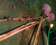 070728.snails2_t.gif