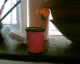070729.pink_pot_t.gif