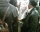 070810.metro_goldfish_t.gif