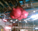 070816.Breasts_t.gif