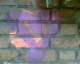 070818.heart2_t.gif