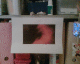 070828.Amy_Winehouse_t.gif