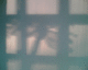 070829.Giant_dragonfly_t.gif