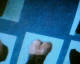 070925.Czar_child_t.gif