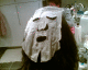 070926.head_face_t.gif