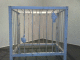 071009a.captive_t.gif