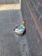 071017.Tesco_workers.v0_t.gif