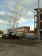 071019.Crane_t.gif