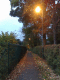 071024.Dusk_autumn_t.gif