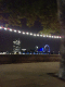 071026.Blue_Lilac_t.gif