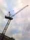071030.Crane1_t.gif