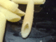 071118.pasta_t.gif