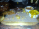 071129.left_food_t.gif