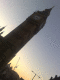 071216.crane_t.gif