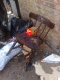 071217.Sick_chair_t.gif