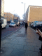 071219.Dead_Fox_t.gif