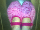 071229.Pink_Slippers_t.gif