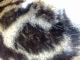 080103.fur_t.gif