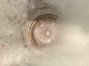 080106.Sexy_plug_t.gif