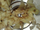 080106.potato_plug_t.gif