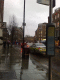 080108.wet_crane_t.gif