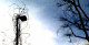 080124.longer_t.gif