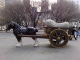 080223.China_horse_t.gif