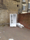 080226.Fridge_t.gif