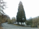 080306.Puzzle_House_t.gif