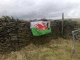 080308.Wales_Capel_Brithdar_t.gif