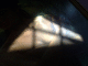 080320.Tina_shadow_t.gif