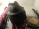080324.Tick_tock_hats_t.gif