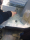 080328.Tate_Prices_t.gif