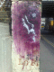 080405.boy_t.gif