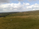 080408.Past_Markham_t.gif