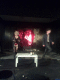 080414.Demonstration_of_affection1_t.gif