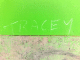 080415.Tracey_t.gif