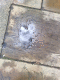 080419.heart_Puddle.v0_t.gif