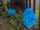 080420.BBQ_Danny_Pox_t.gif