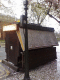 080429.Blossom_t.gif
