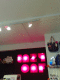 080504.Lazy_Oaf_t.gif