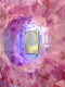 080504.Pink_Apple_t.gif