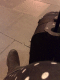 080506.Waiting_t.gif