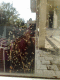080511.dead_Flies1_t.gif