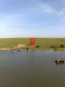 080512.Poison_Pond_t.gif
