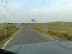 080513.dead_flies_t.gif