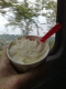 080521.Ricci's_icecream_t.gif