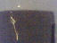 080523.He's_here_again_t.gif