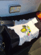 080602.Ant_t.gif